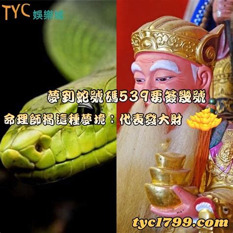 看到蛇代表什麼預兆|【看到蛇代表什麼預兆】驚見蛇類狂現蹤！民俗專家：2招化解「。